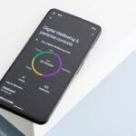 download - 2026-01-28T204726.158